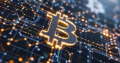 Aerial view of a large cryptocurrency mining farm with rows of servers.