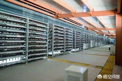 Rows of hosted mining machines in a high-capacity mining farm
