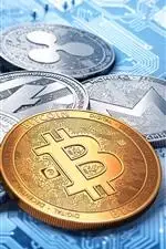 Bitcoin mining farm with ASICs